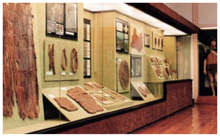 Museo Canario en Vegueta